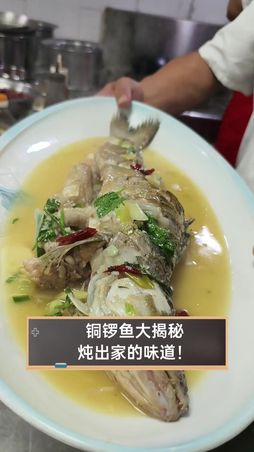 铜锣鱼大揭秘,炖出家的味道!