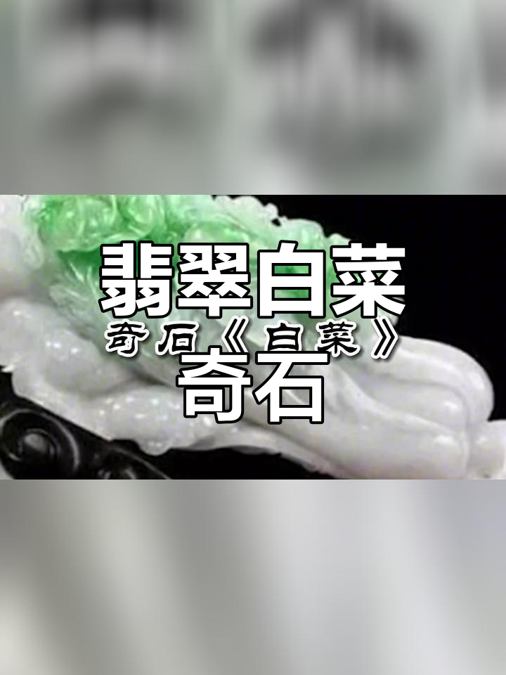台北故宫翡翠白菜奇石赏鉴