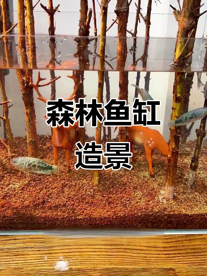 把森林搬进鱼缸,打造半水植物生态景观