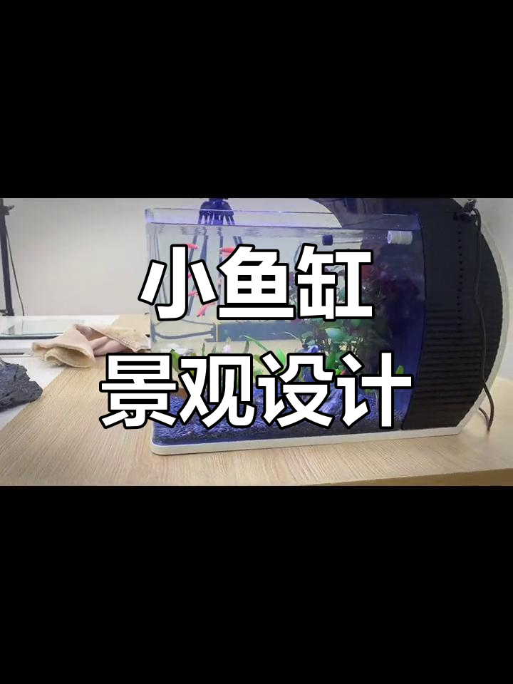桌面小鱼缸造景,简单又美观