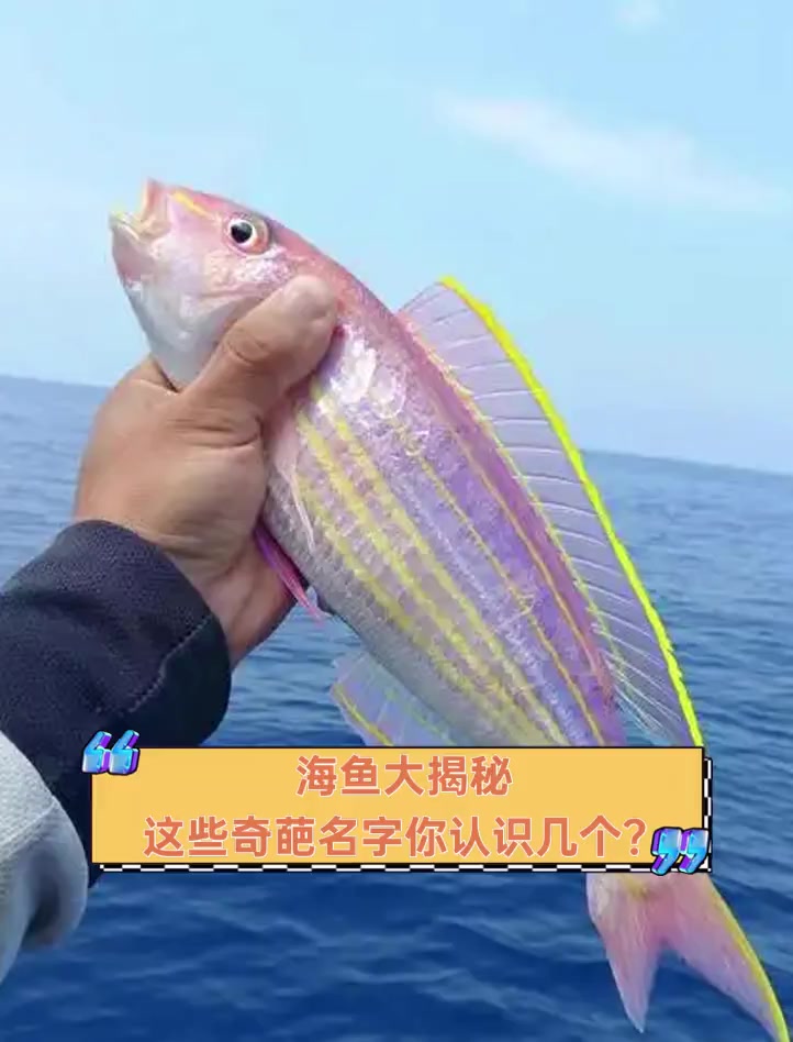海鱼大揭秘,这些奇葩名字你认识几个?