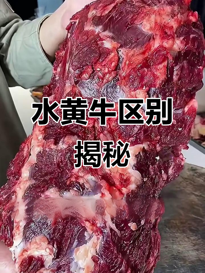 黄牛肉与水牛肉的区别,哪个更好吃?