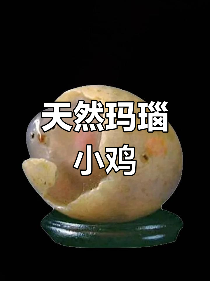 小鸡出壳奇石,四大名石之一