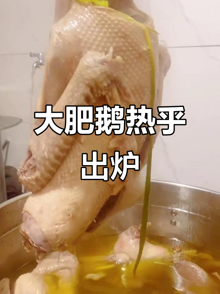 热腾腾大肥鹅出锅,老乡们快来尝!