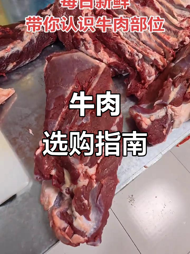 牛肉种类大揭秘,挑选秘诀全在这!