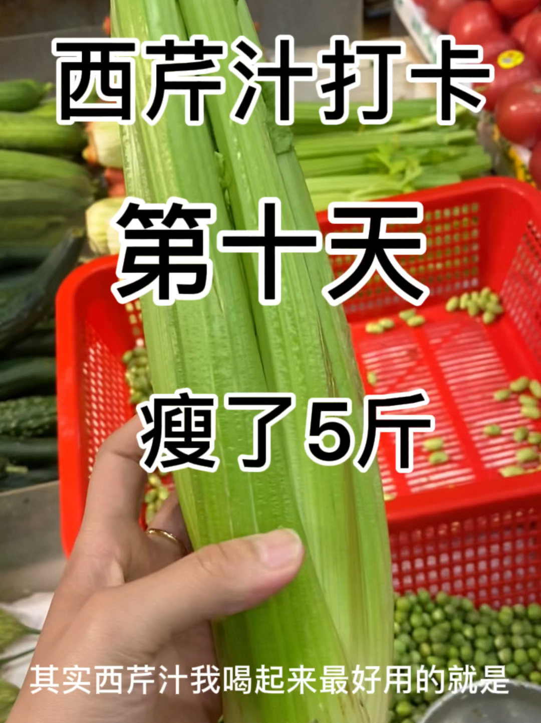 西芹和芹菜都有什么区别!