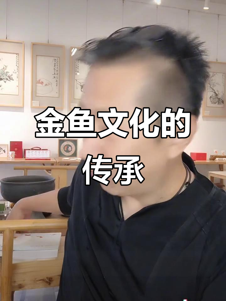 两年后重逢,带你领略中国金鱼的独特魅力与文化