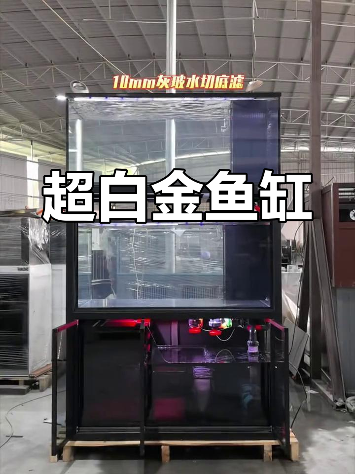 双层金鱼缸,超白玻璃与干湿分离过滤系统