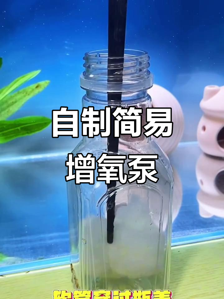 简单DIY增氧泵,让鱼缸水质更清澈