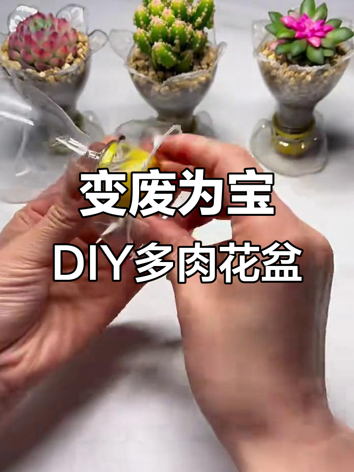 废饮料瓶变多肉小花盆,创意十足又环保