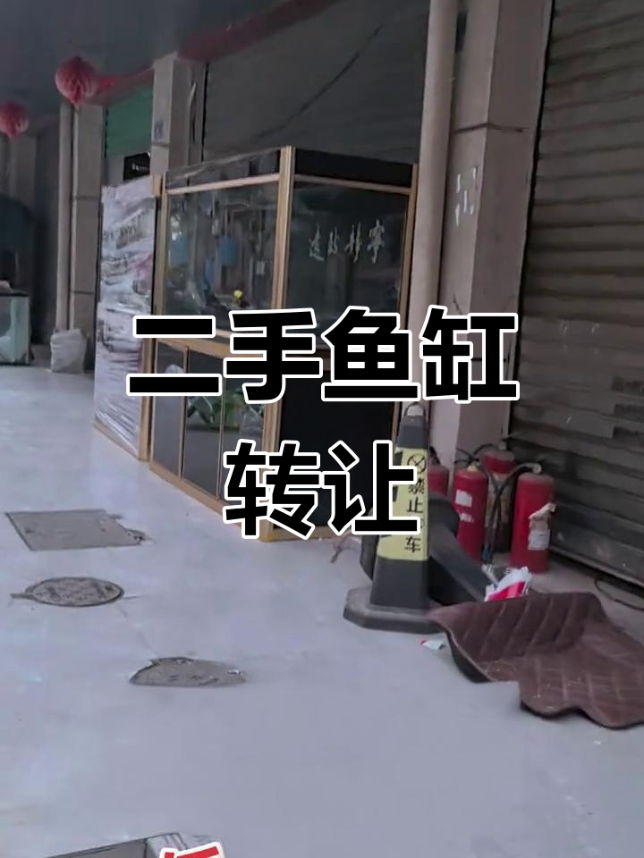 大型陶瓷鱼缸出售