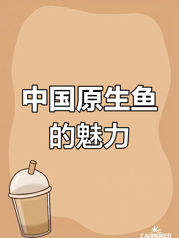 探秘中国原生鱼:宝兴裸裂尻鱼与拉萨白鱼子