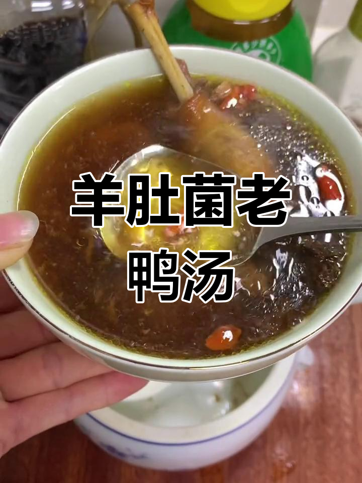 家庭版羊肚菌老鸭汤,滋补又美味