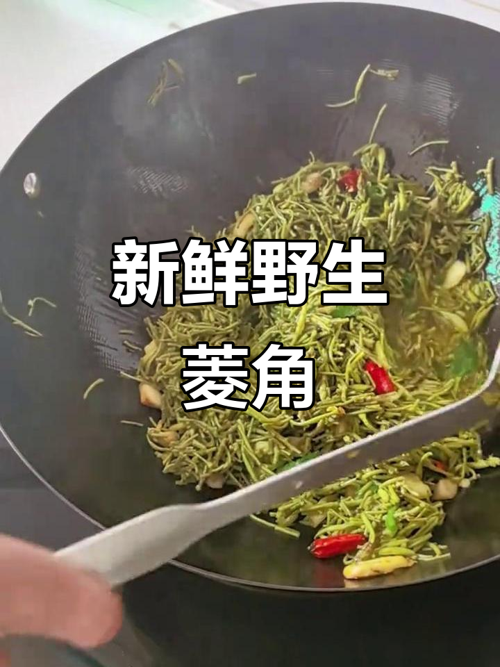 野生菱角菜,新鲜嫩绿,这个月才开始上市!