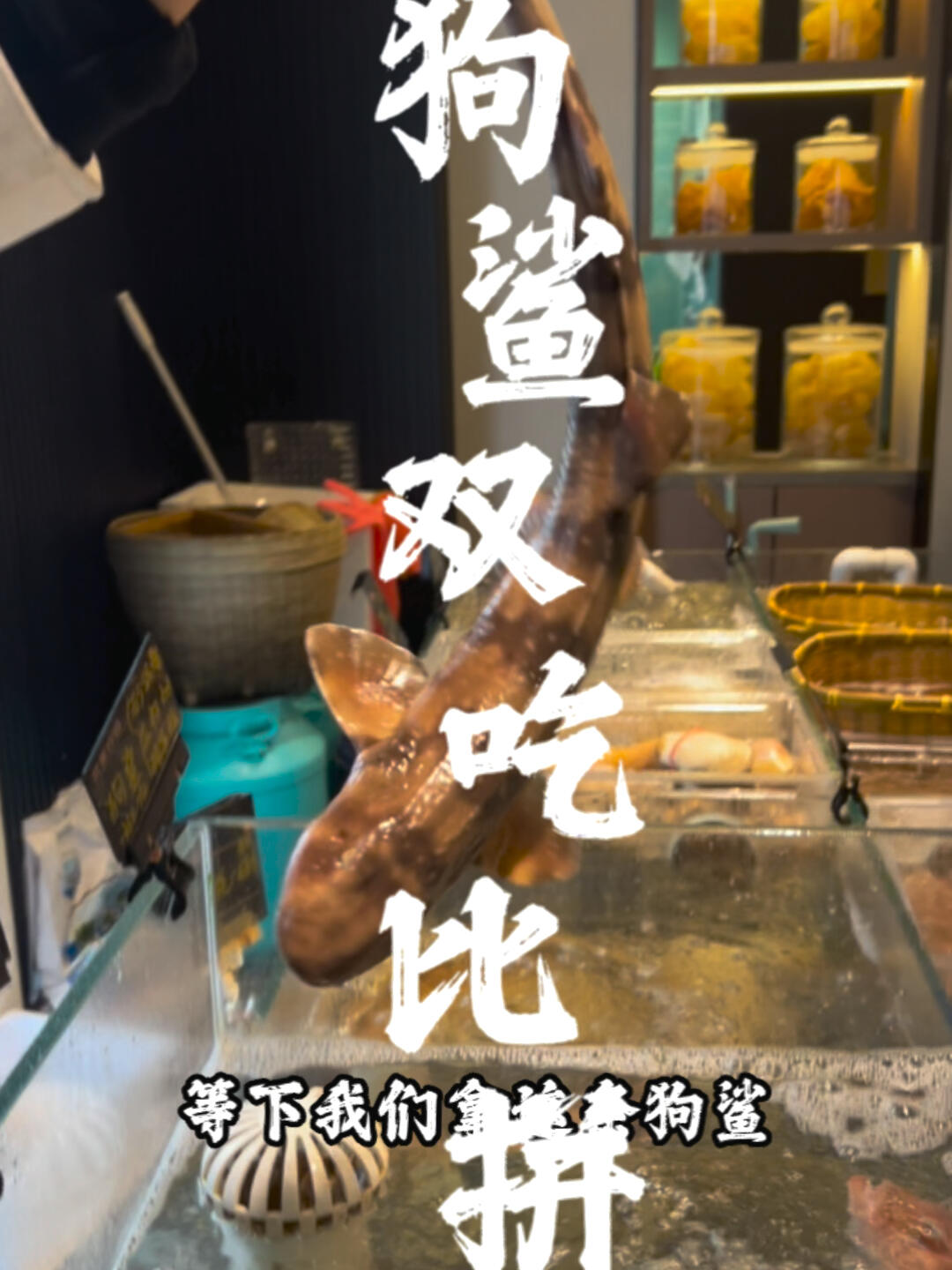 鲨鱼的两种吃法