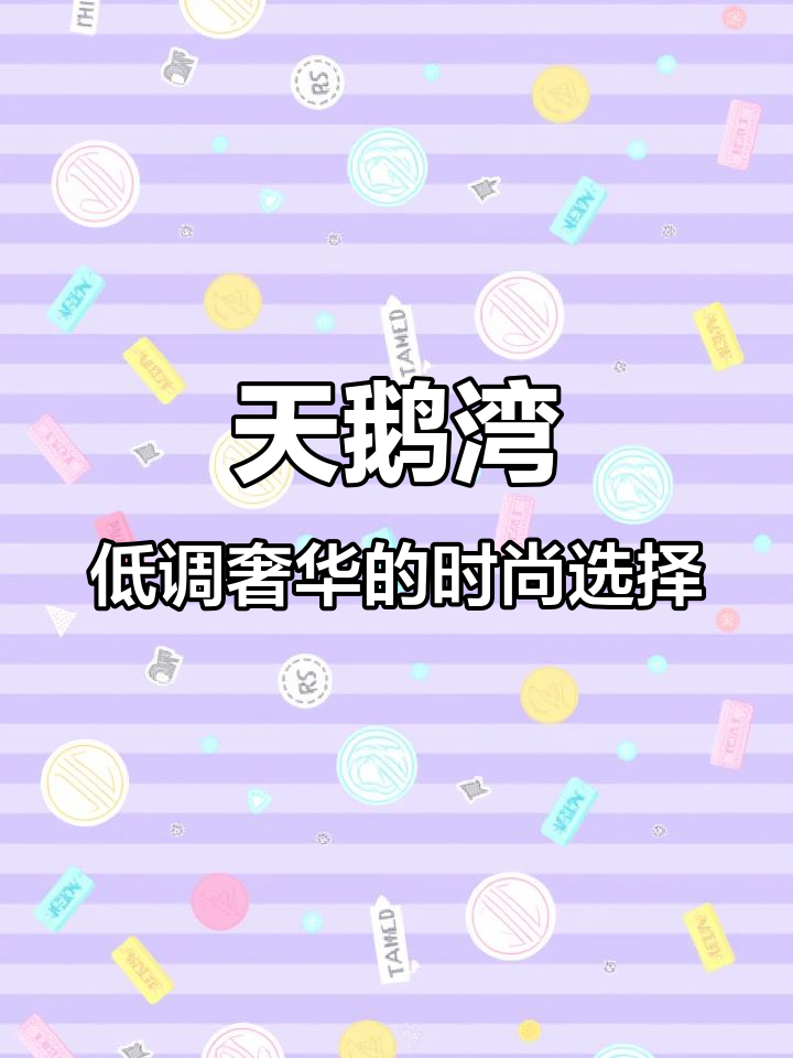 日常必备小众单品,天鹅湾带你解锁中古风格新体验