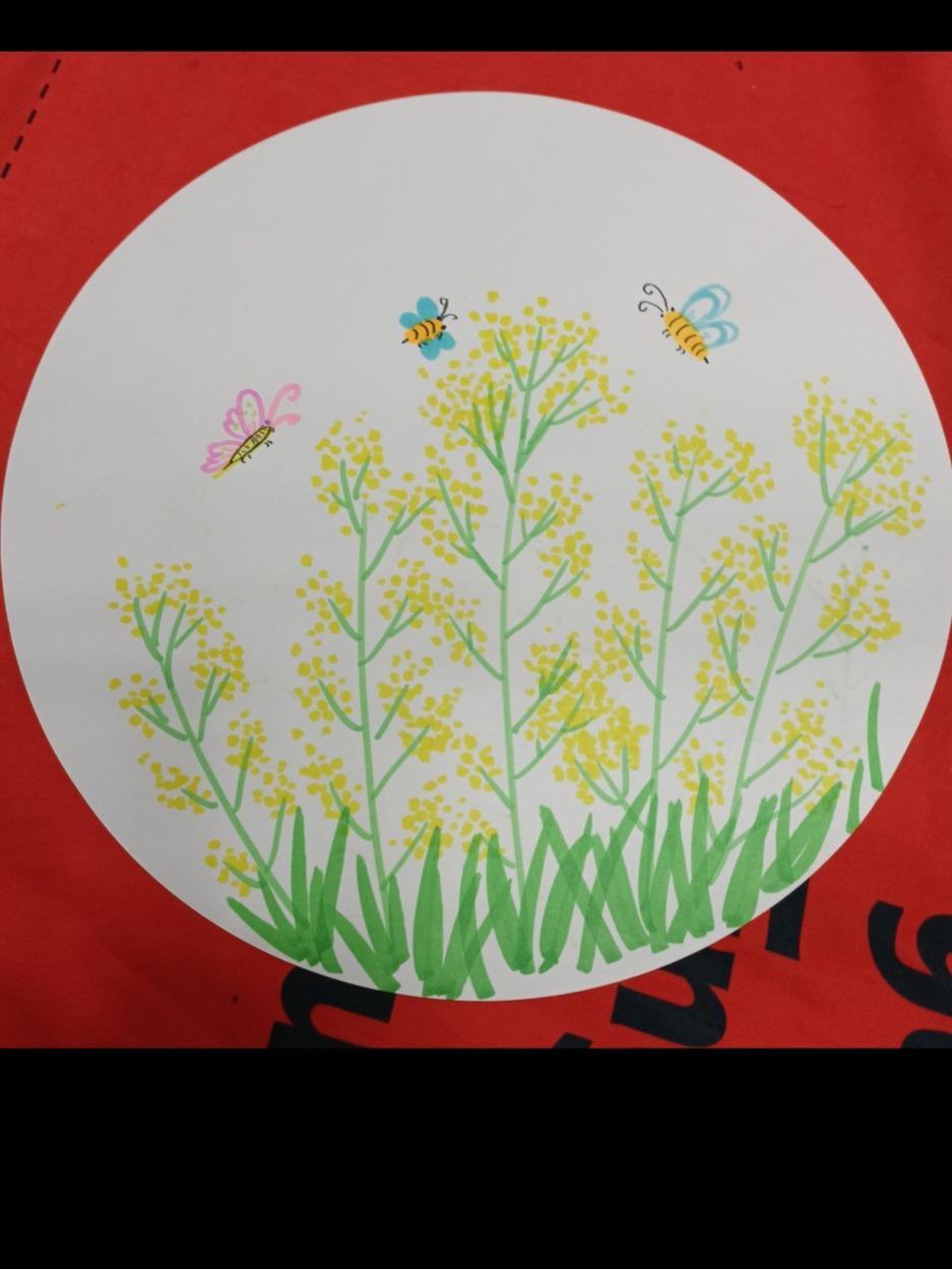 适合5-7岁简笔画油菜花