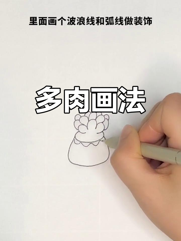 简单多肉简笔画教程