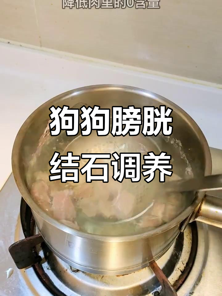狗狗尿路结石调理食谱,金钱草药膳助力健康