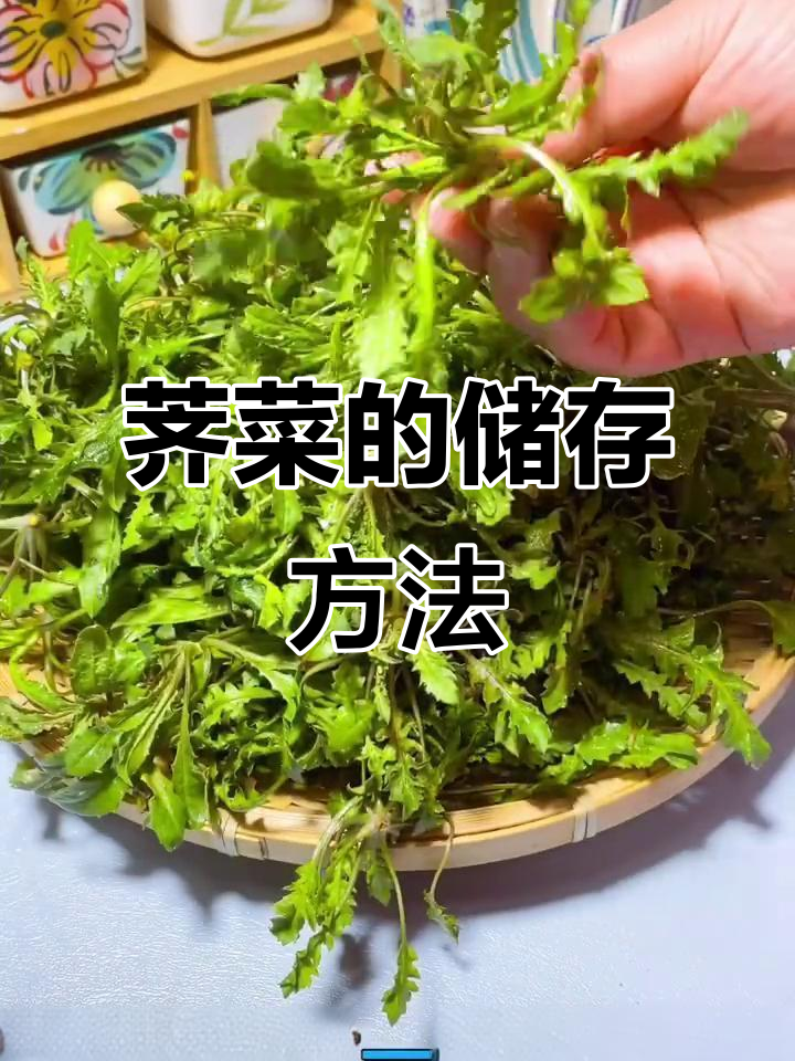 荠菜冷冻技巧，轻松保存新鲜口感