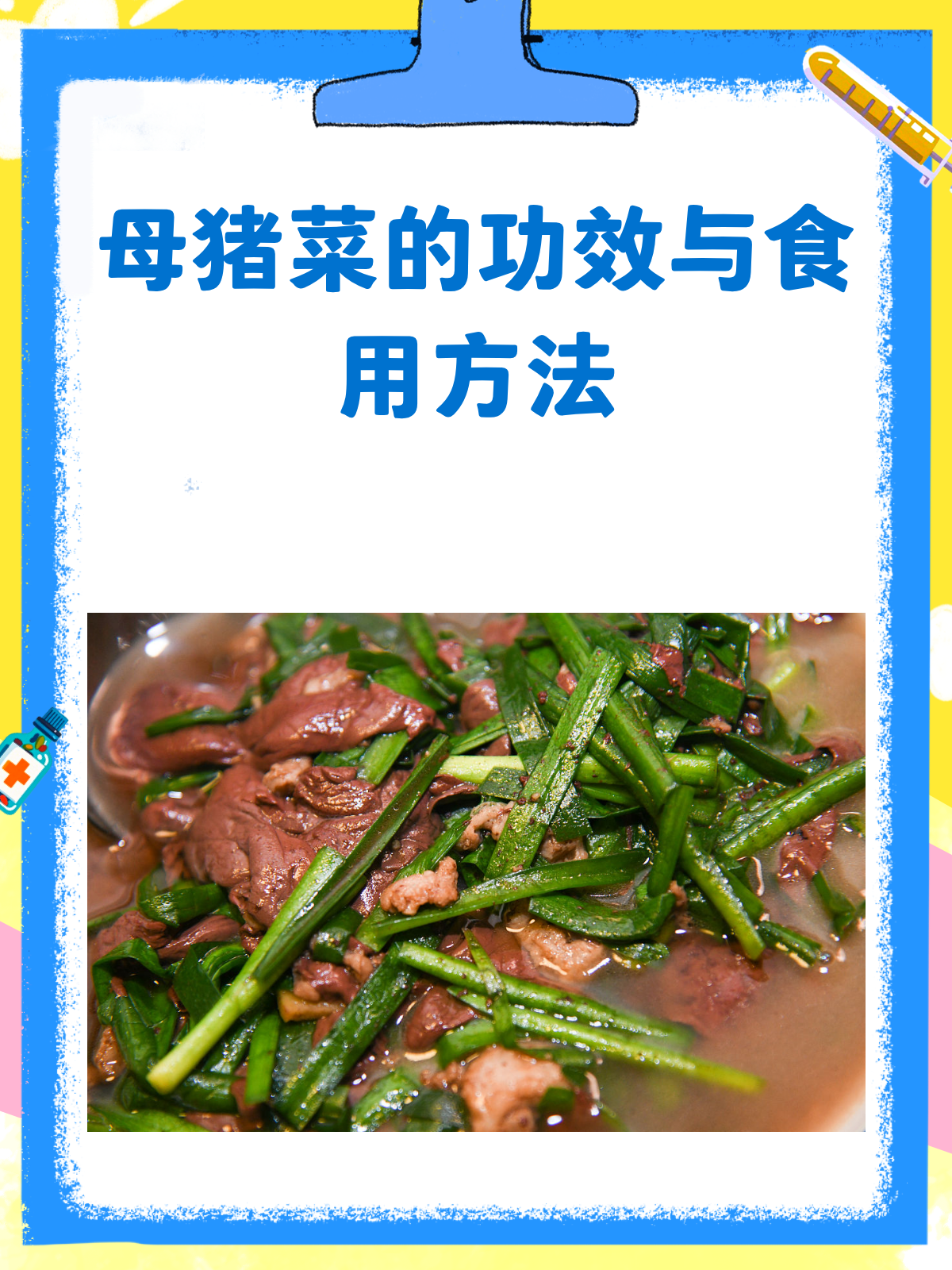 母猪菜,你真的了解它的功效与作用吗?