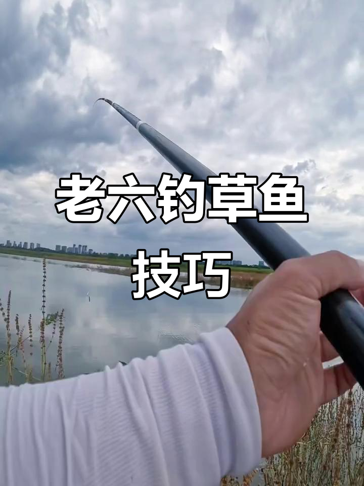 雨天钓草鱼，轻松上手！二十斤大草鱼直击水面