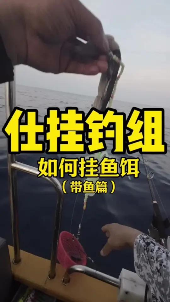 上热门 119期|海钓猫总夫妇「装备钓组分享」仕挂钓组如何挂饵(带鱼篇)夜钓 大疆acti