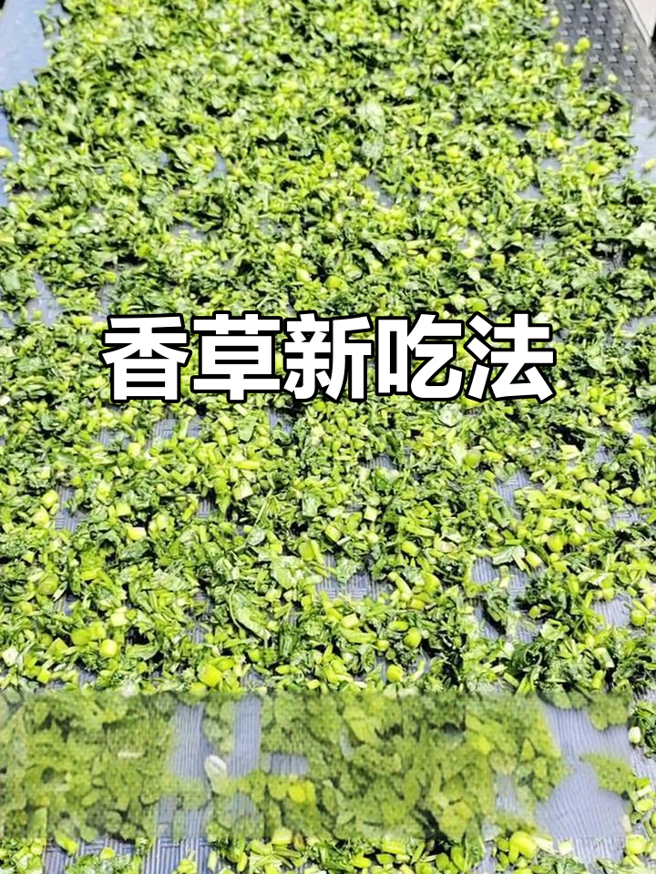 去年马齿苋烧肉,今年香菜干搭配,味道更上一层楼!