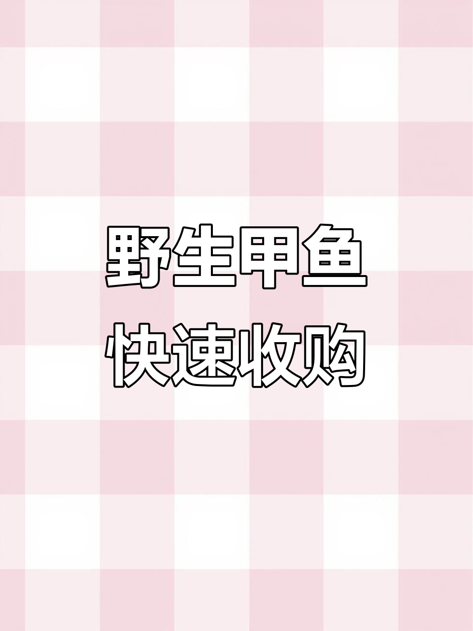 野生甲鱼收购，24小时送货上门