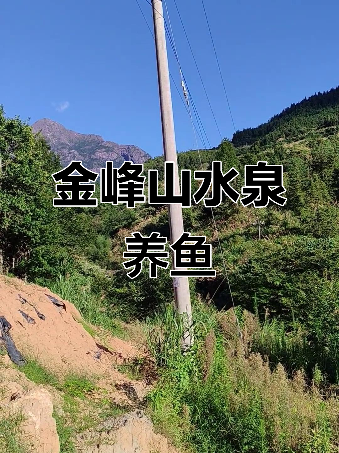 金峰山泉水溪石斑鱼养殖基地探秘,杨哥带你领略自然之美