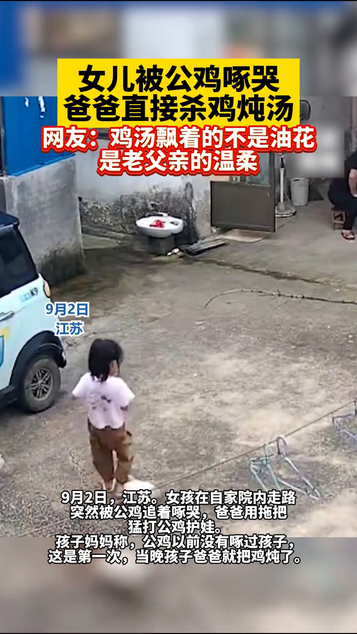 女儿被公鸡啄哭爸爸直接杀鸡炖汤