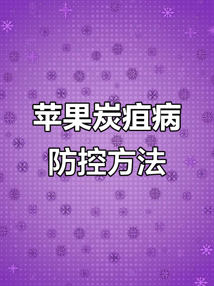 苹果炭疽病防治全攻略:从土壤管理到药剂喷洒技巧