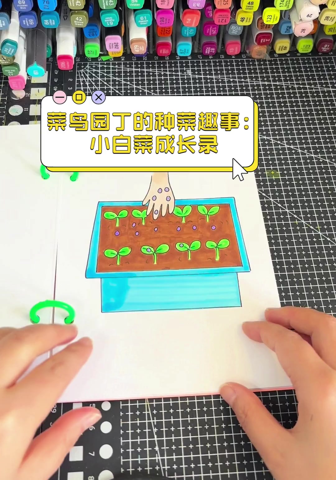 菜鸟园丁的种菜趣事:小白菜成长录