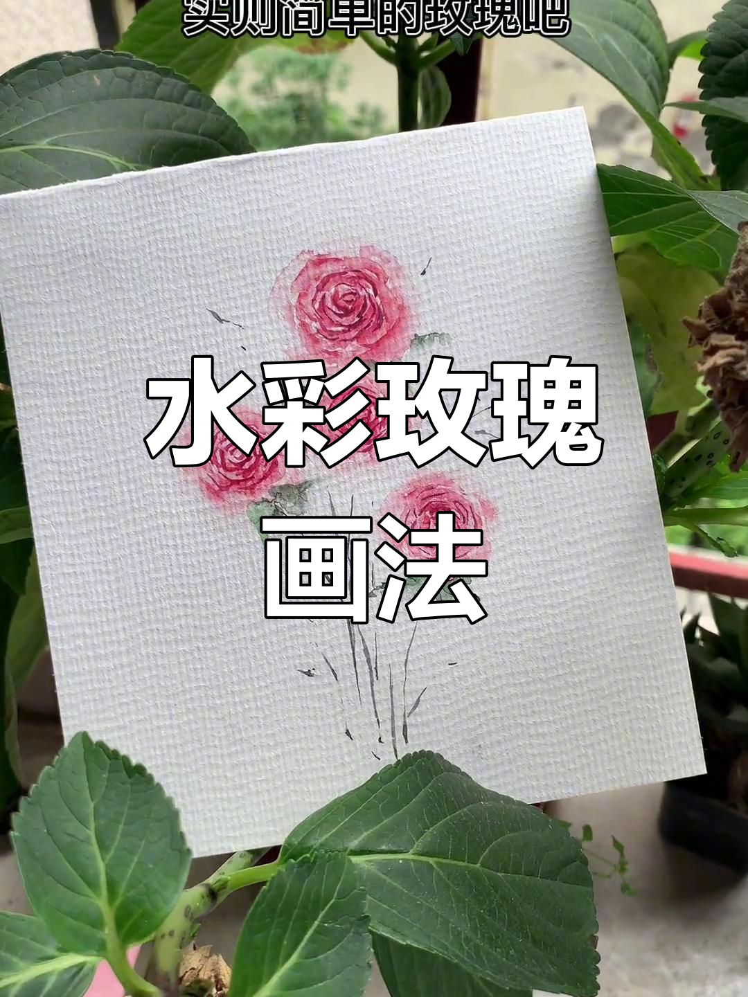 轻松画出美丽玫瑰花,水彩技巧大揭秘