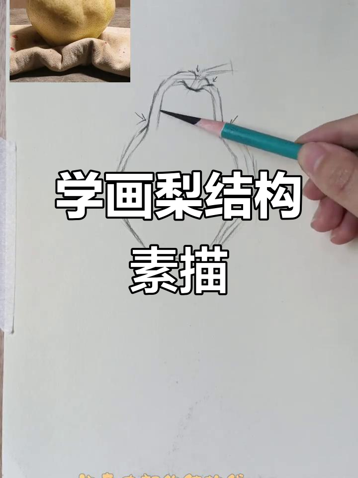 梨的结构素描技巧解析,掌握这些步骤轻松画出立体感