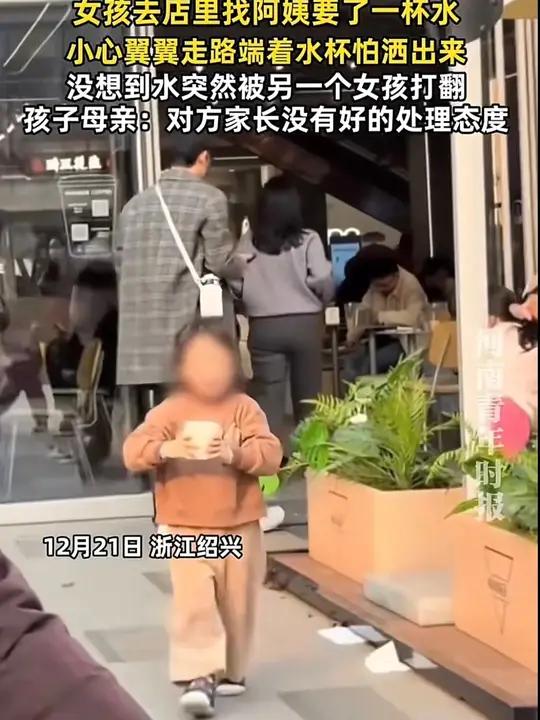 粘豆包东北粘豆包年糕大黄米粘豆包东北特产杂粮糯米江米黑米美味