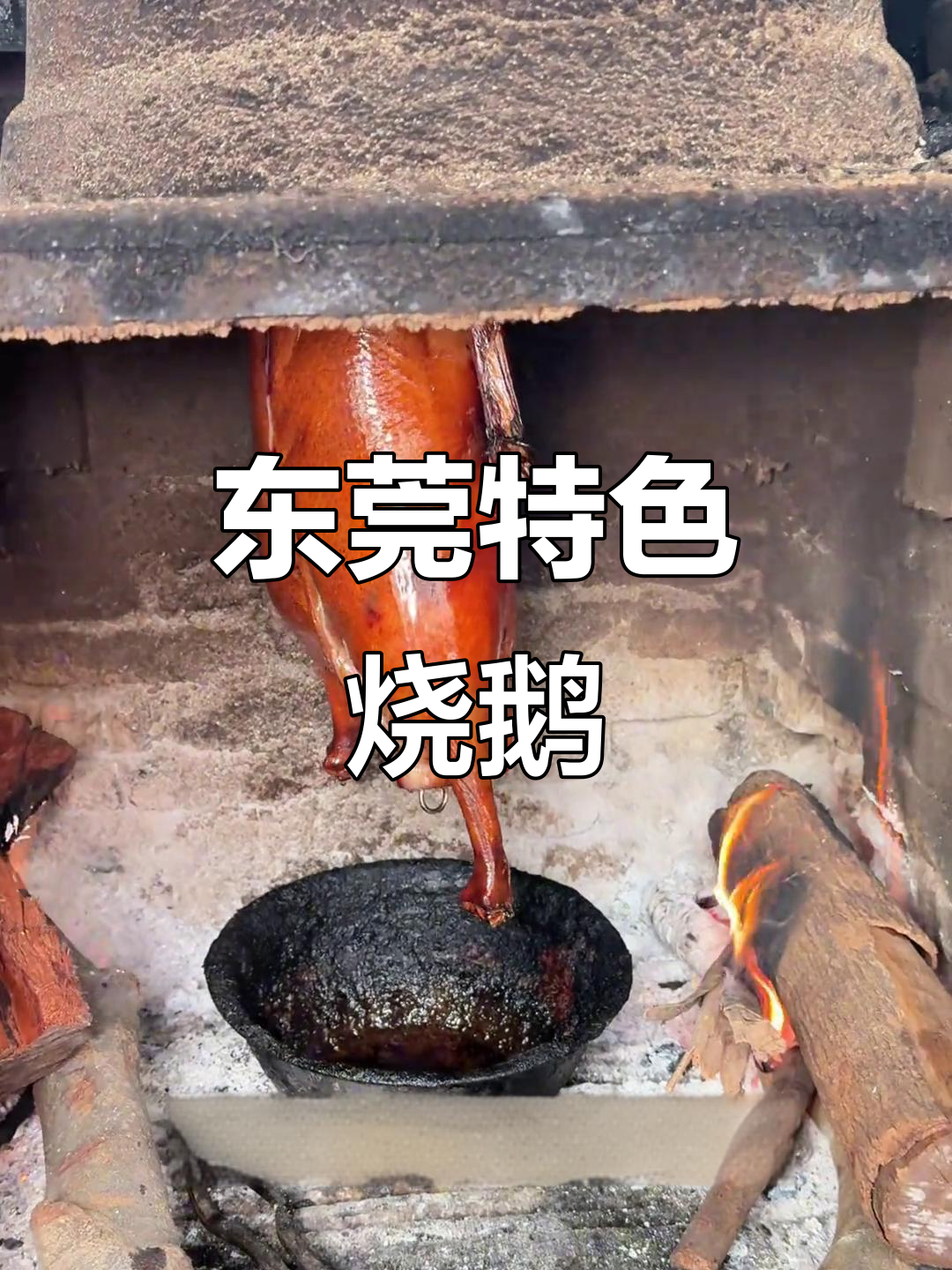 东莞传统木柴烧鹅,黑棕鹅烤制秘诀大揭秘