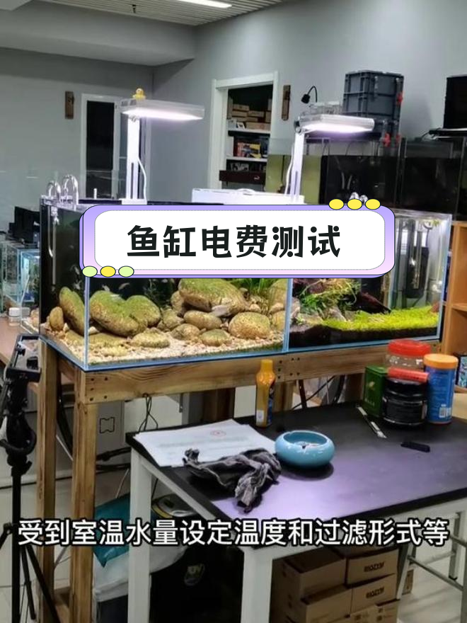 鱼缸用电量实测,加热棒耗电揭秘