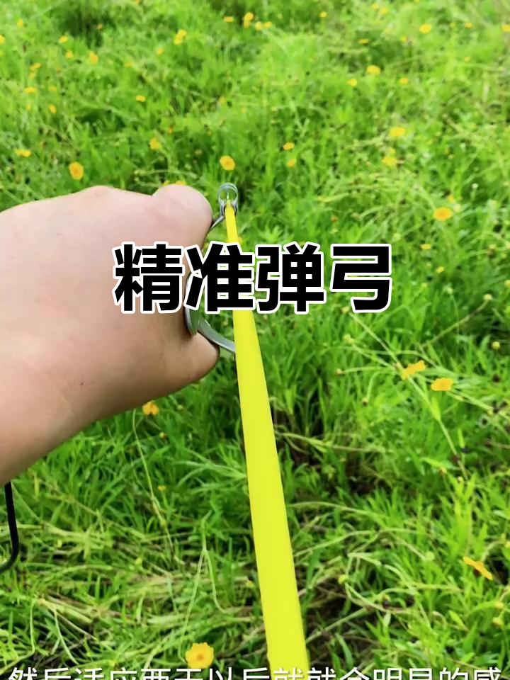 这款弹弓设计精致，圆皮扁皮通用，射鱼瞄准超清晰！