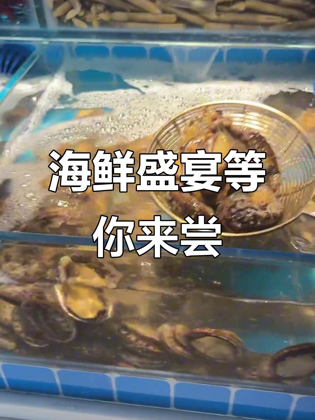 9月11日渔纬港海鲜大餐,澳洲龙虾、海参等一网打尽