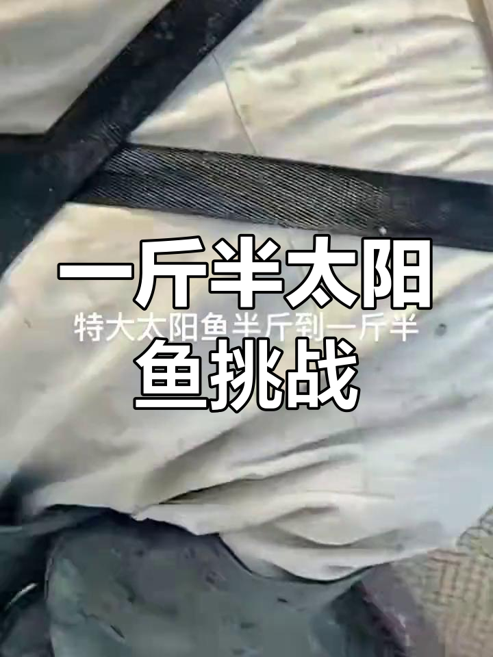 太阳鱼一斤半,路亚钓场大挑战