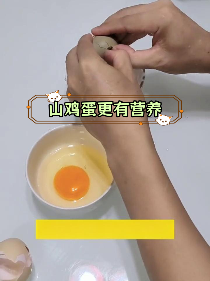 山鸡蛋与普通鸡蛋的营养差异