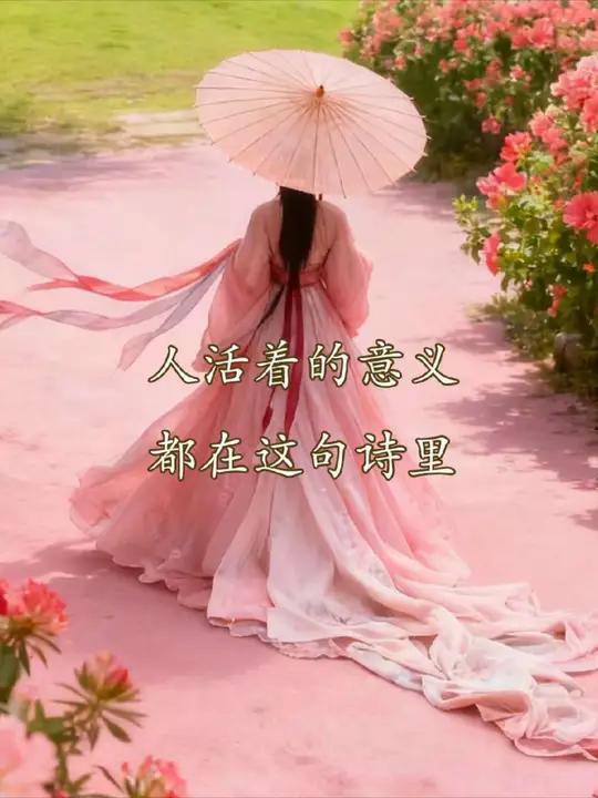松树千年终是朽,槿花一日自为荣。——出自唐.白居易《放言五首(其五)》;生命的价值不在于长