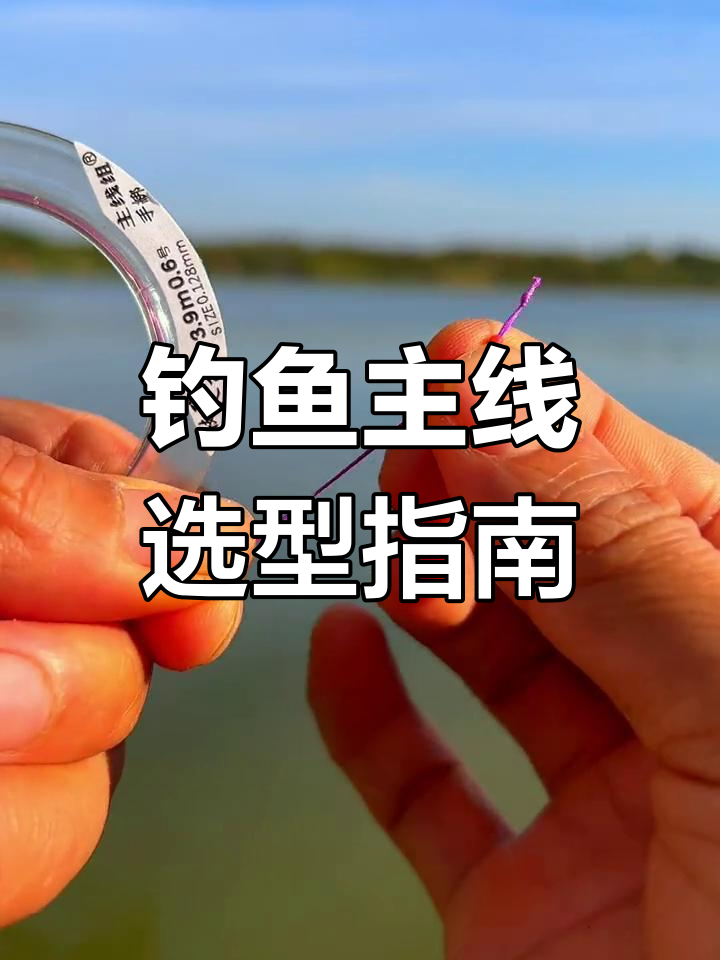 钓鱼主线选择技巧：如何搭配不同型号的主线钓不同重量的鱼