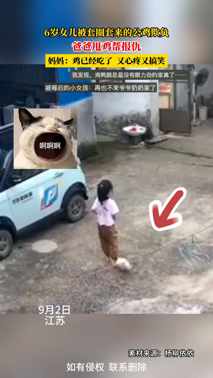 6岁女儿被套圈套来的公鸡欺负,爸爸甩鸡帮报仇