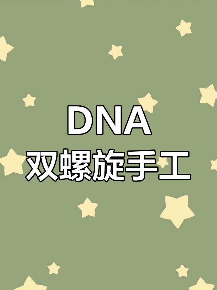 折纸DNA双螺旋,轻松学会初中生物模型