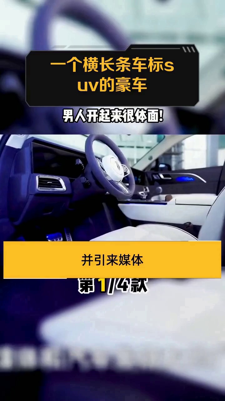 一个横长条车标suv的豪车