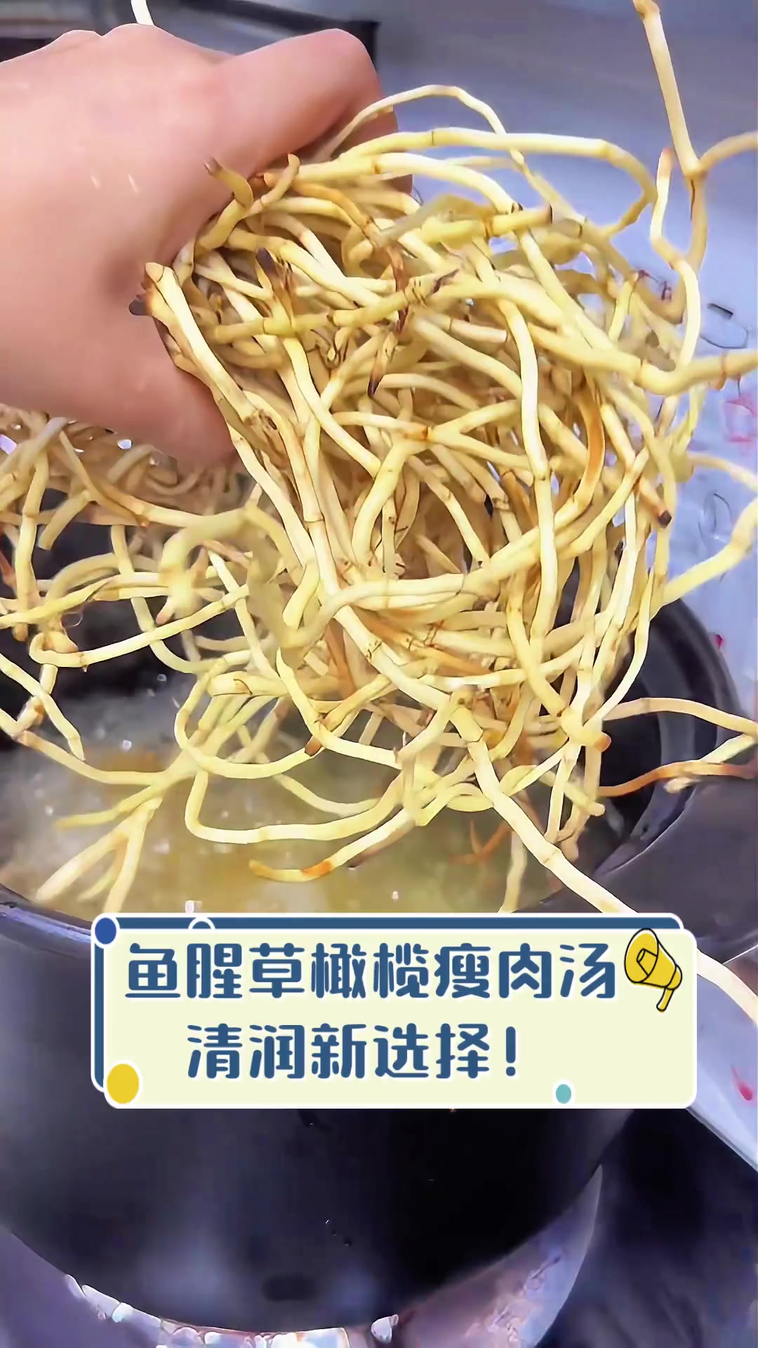 鱼腥草橄榄瘦肉汤,清润新选择!