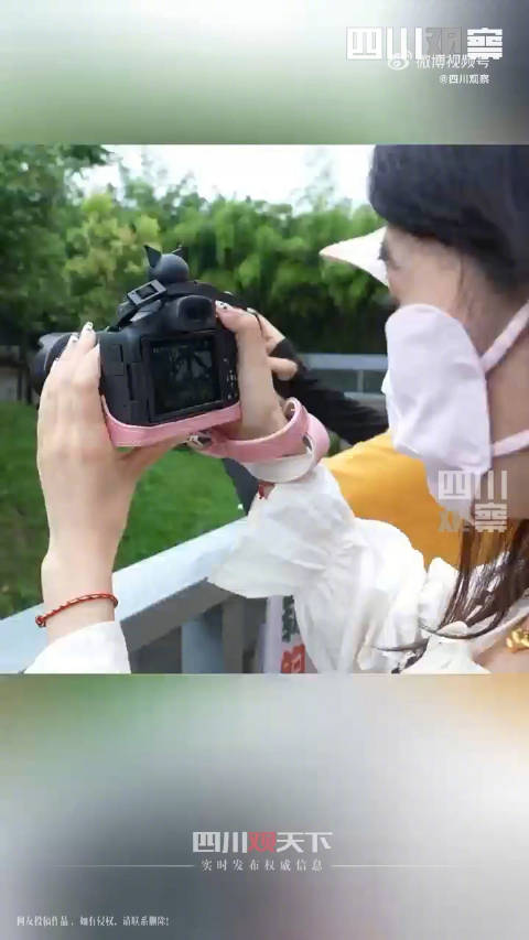 「生日快乐!熊猫华荣11岁啦」7月18日,在四川眉山,大熊猫华荣迎来了它11岁的生日。熊猫