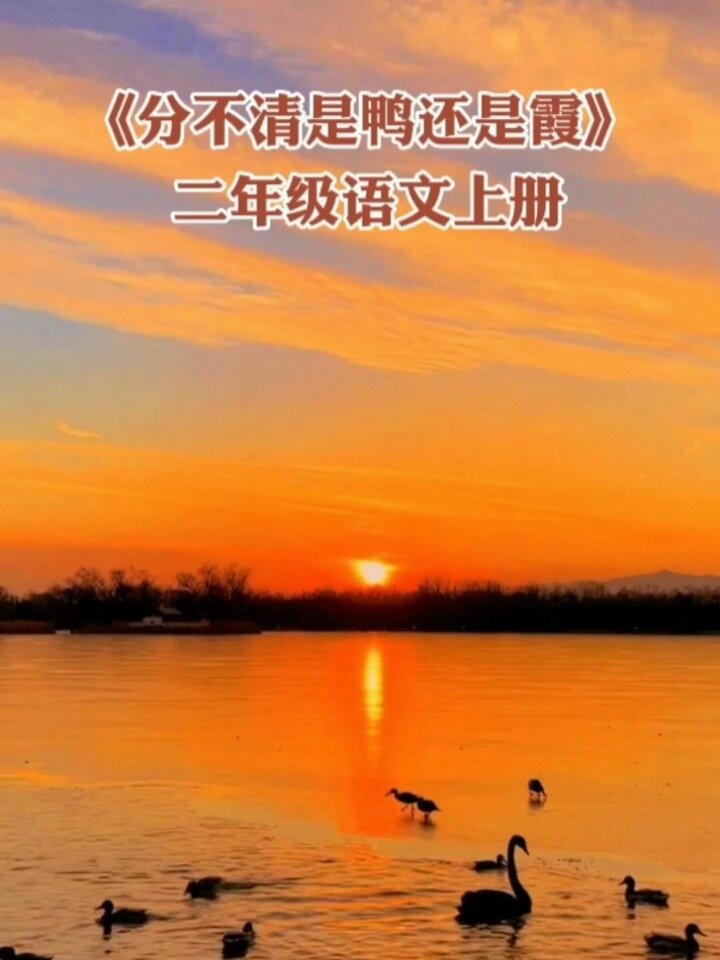 二年级语文上册《分不清是鸭还是霞》